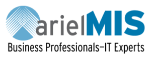 Ariel IT Services—Business Professionals-IT Experts